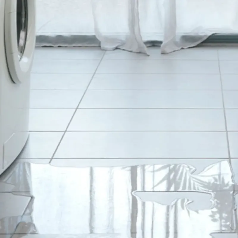 Appliance Leak Cleanup in Alexandria, LA