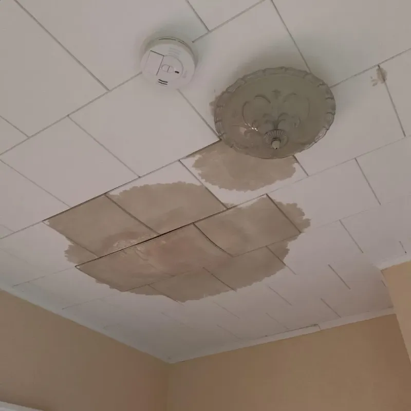 Ceiling Water Damage Repair in Alexandria, LA