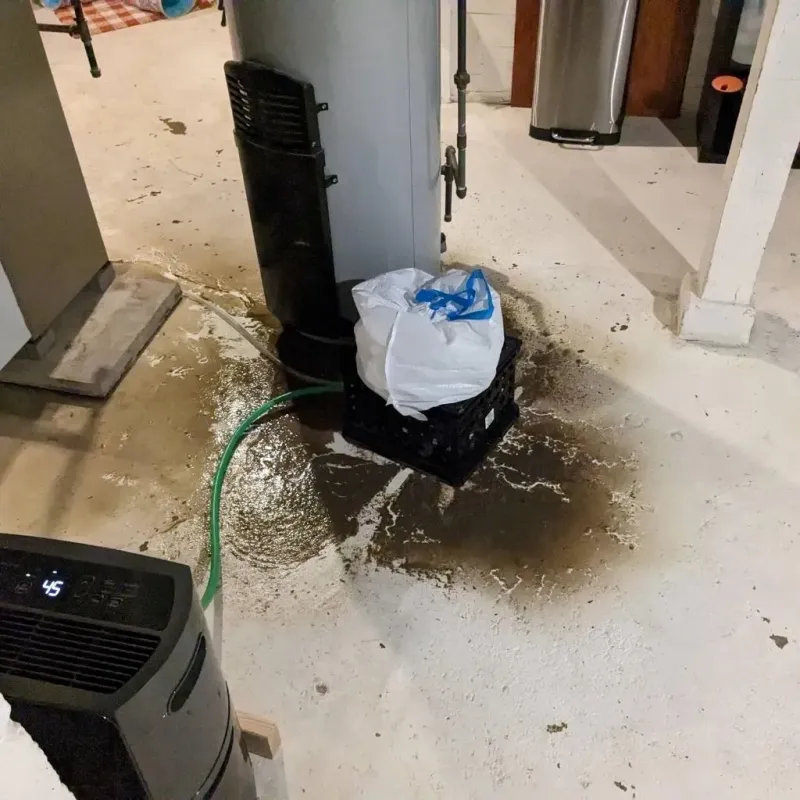 Sewage Backup Cleanup Service in Alexandria, LA